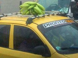 Bananas on highway